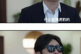 从江专业讨债公司有哪些核心服务？